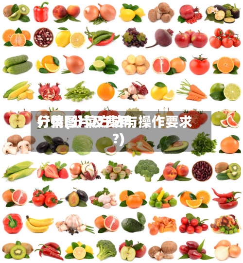 分菜图片及费用行情(分菜方法与操作要求?)-第2张图片