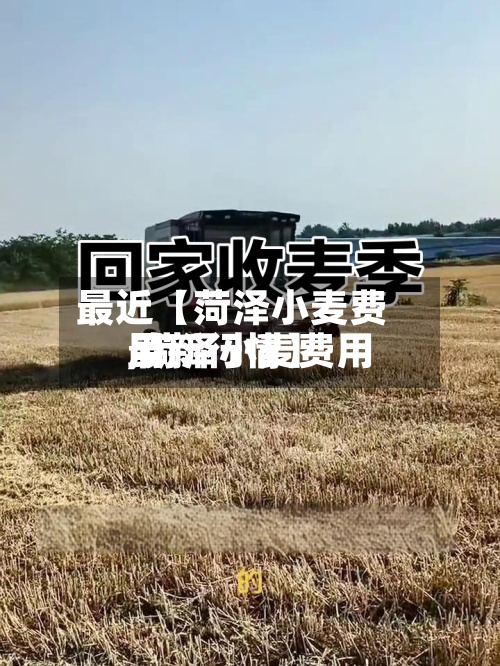 最近【菏泽小麦费用,菏泽小麦费用最新行情】