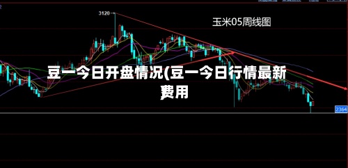 豆一今日开盘情况(豆一今日行情最新费用)-第2张图片