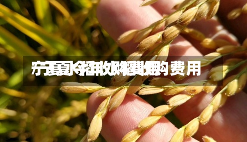 宁夏水稻收购费用/宁夏今年水稻收购费用-第2张图片