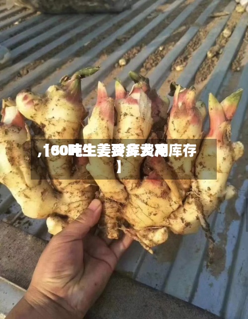 【50吨生姜冷库费用
,100吨生姜要多大冷库存】-第2张图片
