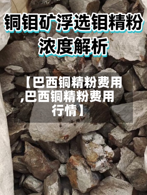 【巴西铜精粉费用,巴西铜精粉费用行情】