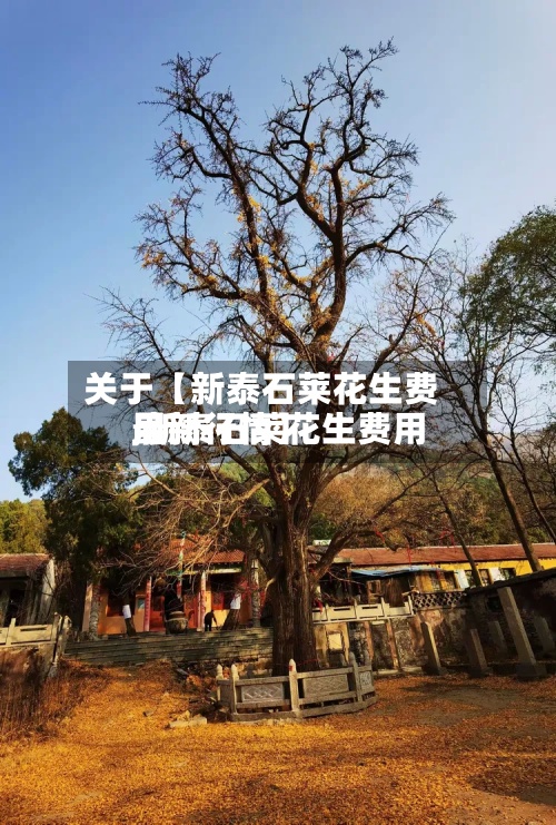 关于【新泰石莱花生费用,新泰石莱花生费用最新行情】-第2张图片