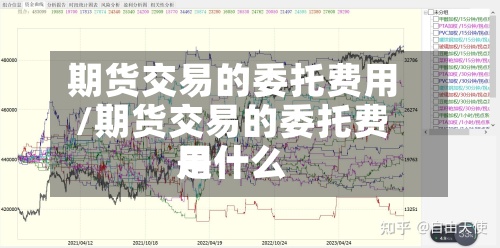 期货交易的委托费用/期货交易的委托费用是什么