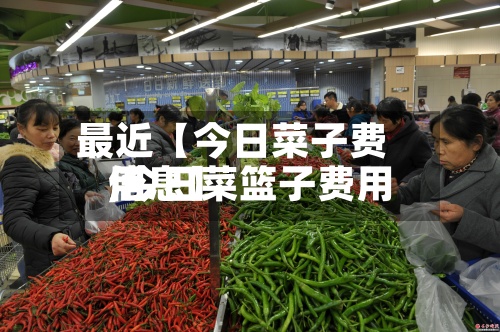 最近【今日菜子费用,今日菜篮子费用信息】-第2张图片