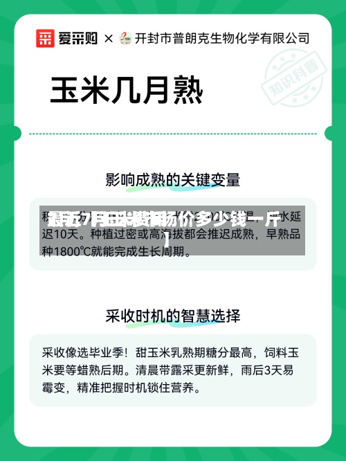 最近【玉米费用7月,7月玉米市场价多少钱一斤】-第2张图片