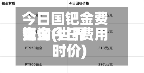今日国钯金费用查询(世界钯金今日费用时价)