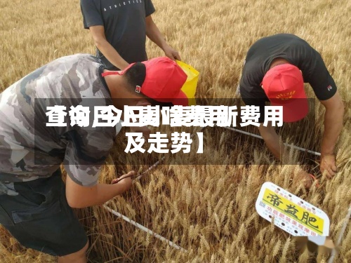 【今日小麦啥费用查询,今日小麦最新费用及走势】-第2张图片