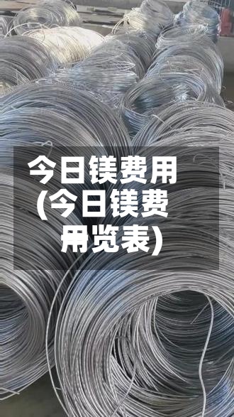 今日镁费用(今日镁费用一览表)-第2张图片