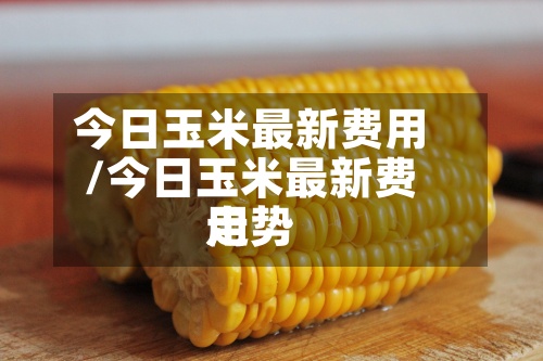 今日玉米最新费用/今日玉米最新费用走势