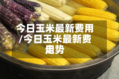 今日玉米最新费用/今日玉米最新费用走势-第2张图片