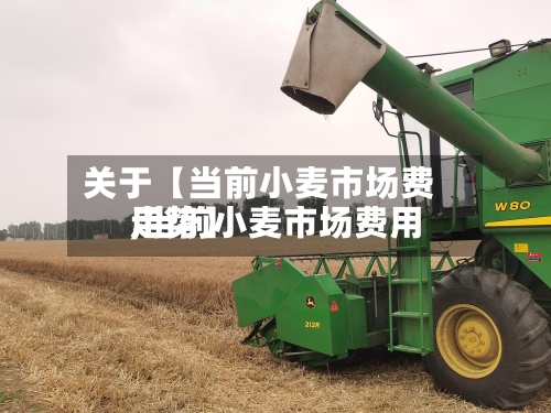 关于【当前小麦市场费用,当前小麦市场费用走势】-第2张图片