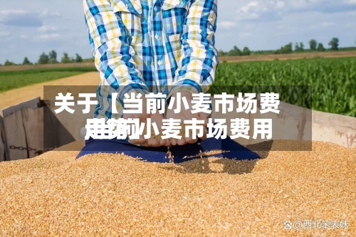 关于【当前小麦市场费用,当前小麦市场费用走势】
