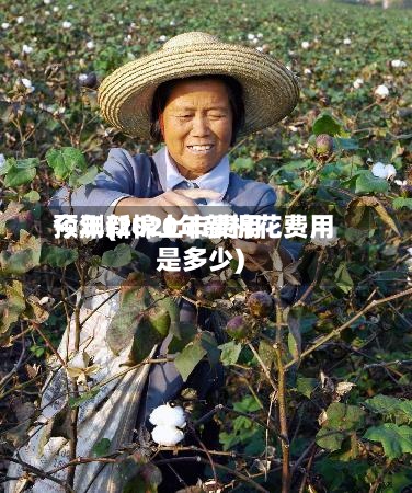 今年新棉上市费用
预测(2020年新棉花费用
是多少)-第2张图片