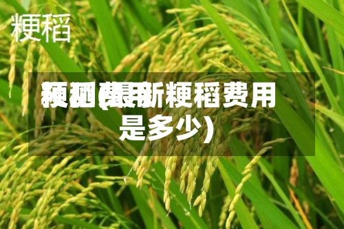 粳稻费用预测(最新粳稻费用是多少)-第2张图片