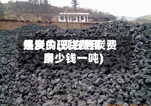 焦炭的现货费用是多少(现在焦炭费用多少钱一吨)