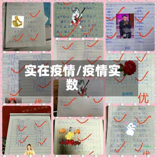 实在疫情/疫情实数-第2张图片
