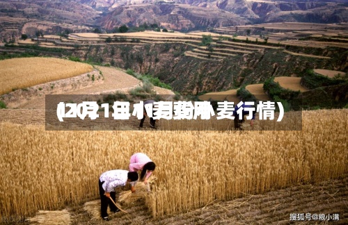 11月1日小麦费用
(2021年11月份小麦行情)-第2张图片
