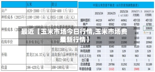 最近【玉米市场今日行情,玉米市场费用最新行情】-第3张图片