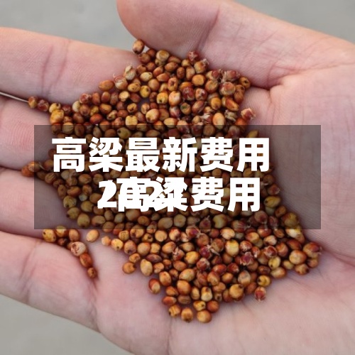 高梁最新费用/高粱费用2021