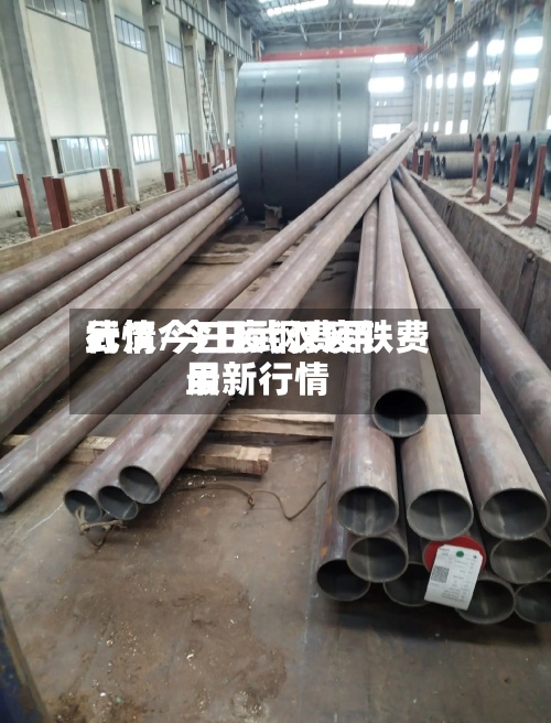 武汉今曰废钢费用行情/今日武汉废铁费用最新行情