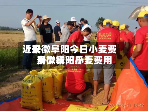 近来【安徽阜阳今日小麦费用安徽阜阳小麦费用多少钱一斤】