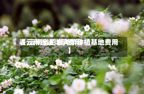 【云南昭通洋芋费用表,云南省昭通洋芋种植基地费用】