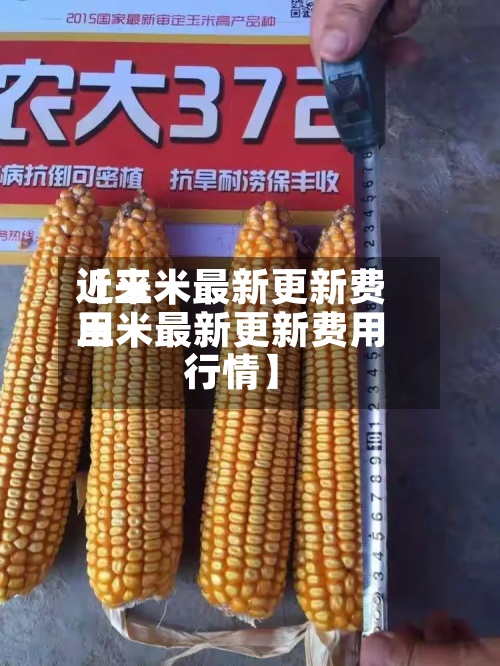 近来【玉米最新更新费用玉米最新更新费用行情】