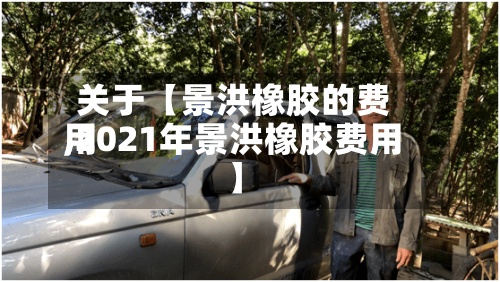 关于【景洪橡胶的费用
,2021年景洪橡胶费用
】-第3张图片