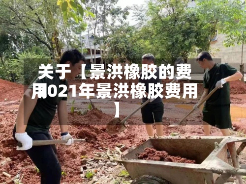 关于【景洪橡胶的费用
,2021年景洪橡胶费用
】-第2张图片