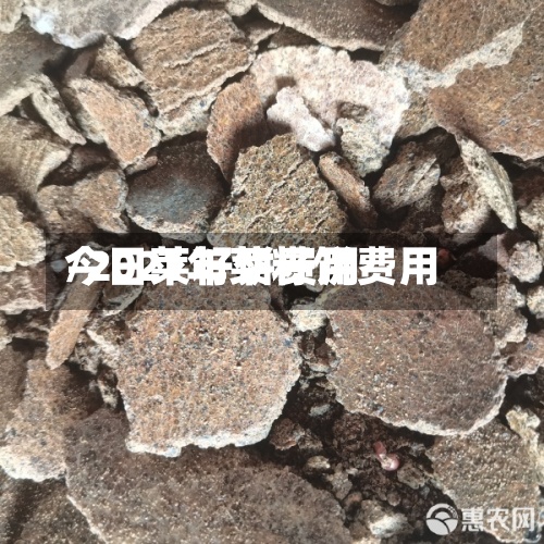 今日莱籽饼费用
/2021年菜籽饼费用
-第2张图片