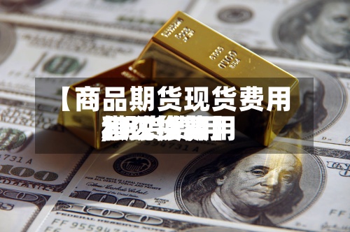 【商品期货现货费用
,期货费用
和现货费用
怎么换算】-第3张图片
