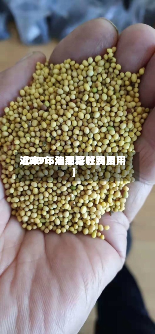 近来
【2015年油菜籽费用
2019年油菜籽收购费用
】-第3张图片