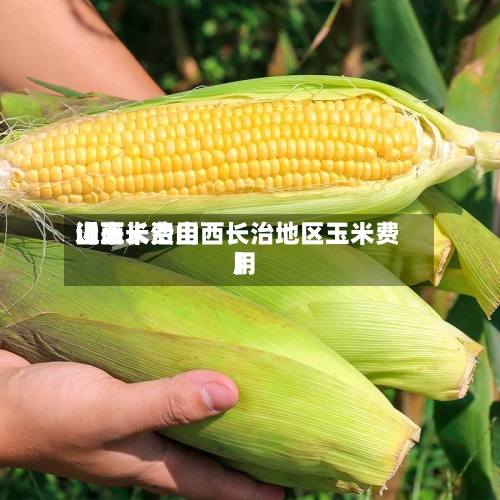 近来【玉米费用山西长治山西长治地区玉米费用】