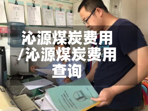 沁源煤炭费用
/沁源煤炭费用
查询-第1张图片