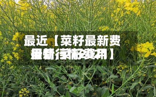 最近【菜籽最新费用行情,菜籽费用最新行情2021】