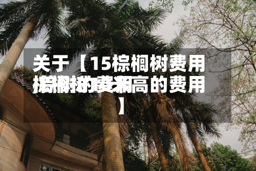 关于【15棕榈树费用,棕树的费用棕榈树10米高的费用】-第2张图片