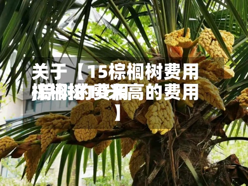 关于【15棕榈树费用,棕树的费用棕榈树10米高的费用】-第3张图片