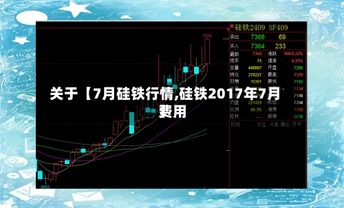 关于【7月硅铁行情,硅铁2017年7月费用
】-第2张图片