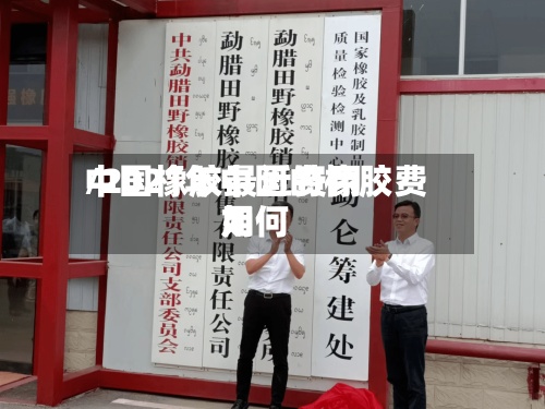中国橡胶最近费用
/2021年中国的橡胶费用
如何-第3张图片