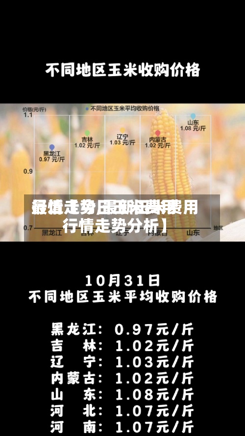 最近【今日玉米费用行情走势,最新玉米费用行情走势分析】