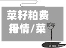 菜籽粕费用行情/菜籽粕2105东方财富
