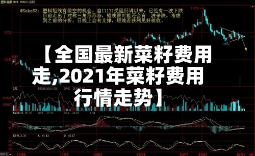 【全国最新菜籽费用
走,2021年菜籽费用
行情走势】-第3张图片