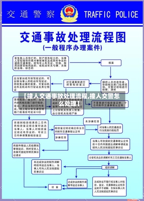 【撞人交通事故处理流程,撞人交警怎么处理】-第1张图片