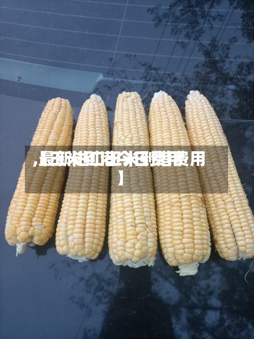【玉米到港今日费用
,最新进口玉米到港费用
】-第3张图片