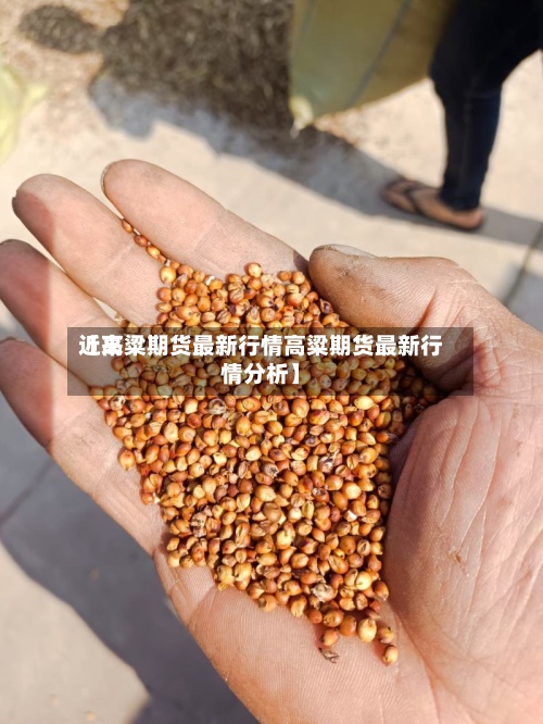 近来【高粱期货最新行情高粱期货最新行情分析】