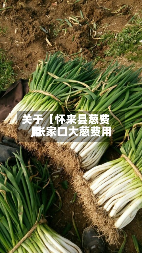 关于【怀来县葱费用
,张家口大葱费用
】-第3张图片