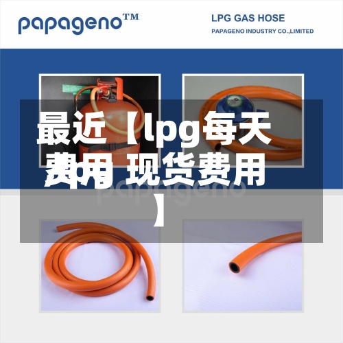 最近【lpg每天
费用
,lpg 现货费用
】-第3张图片