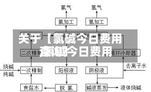 关于【氯碱今日费用,氯碱今日费用查询】