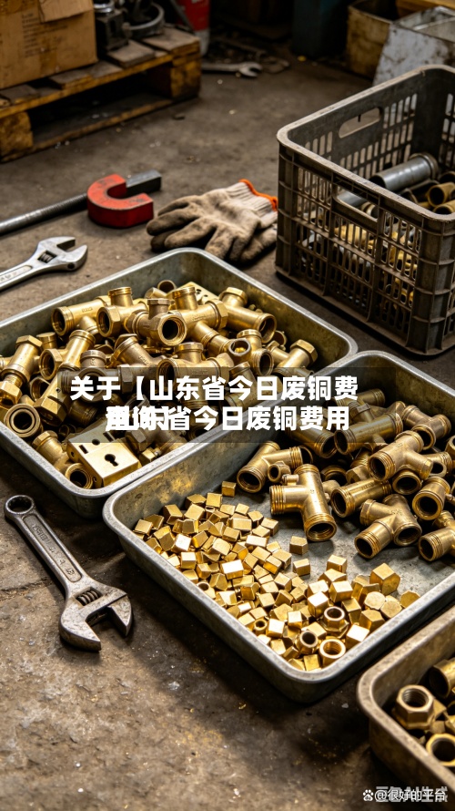 关于【山东省今日废铜费用
,山东省今日废铜费用
查询】-第2张图片